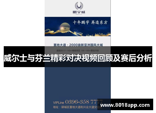 威尔士与芬兰精彩对决视频回顾及赛后分析